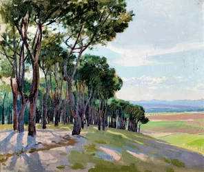 Paisaje de La Moncloa